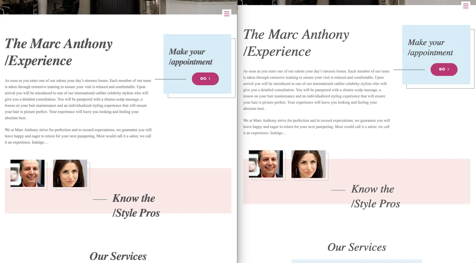 Marc Anthony True Professional: revision screen