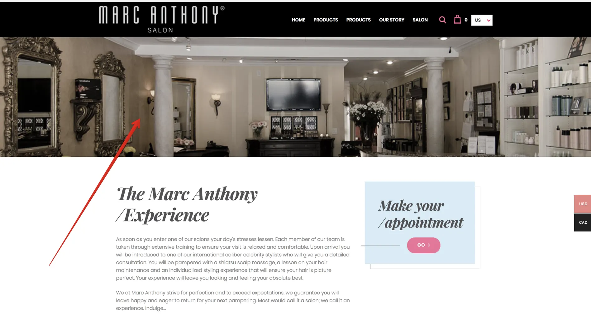 The salon page.